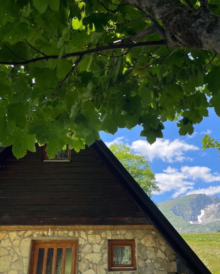Apartman A&A Zabljak  Luaran gambar
