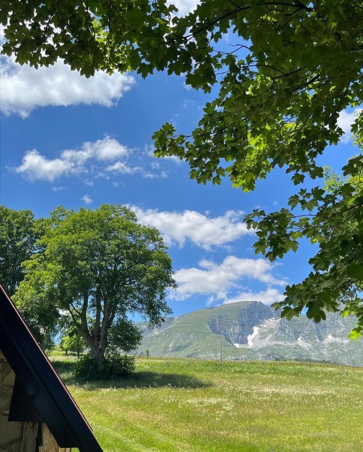 Apartman A&A Zabljak  Luaran gambar